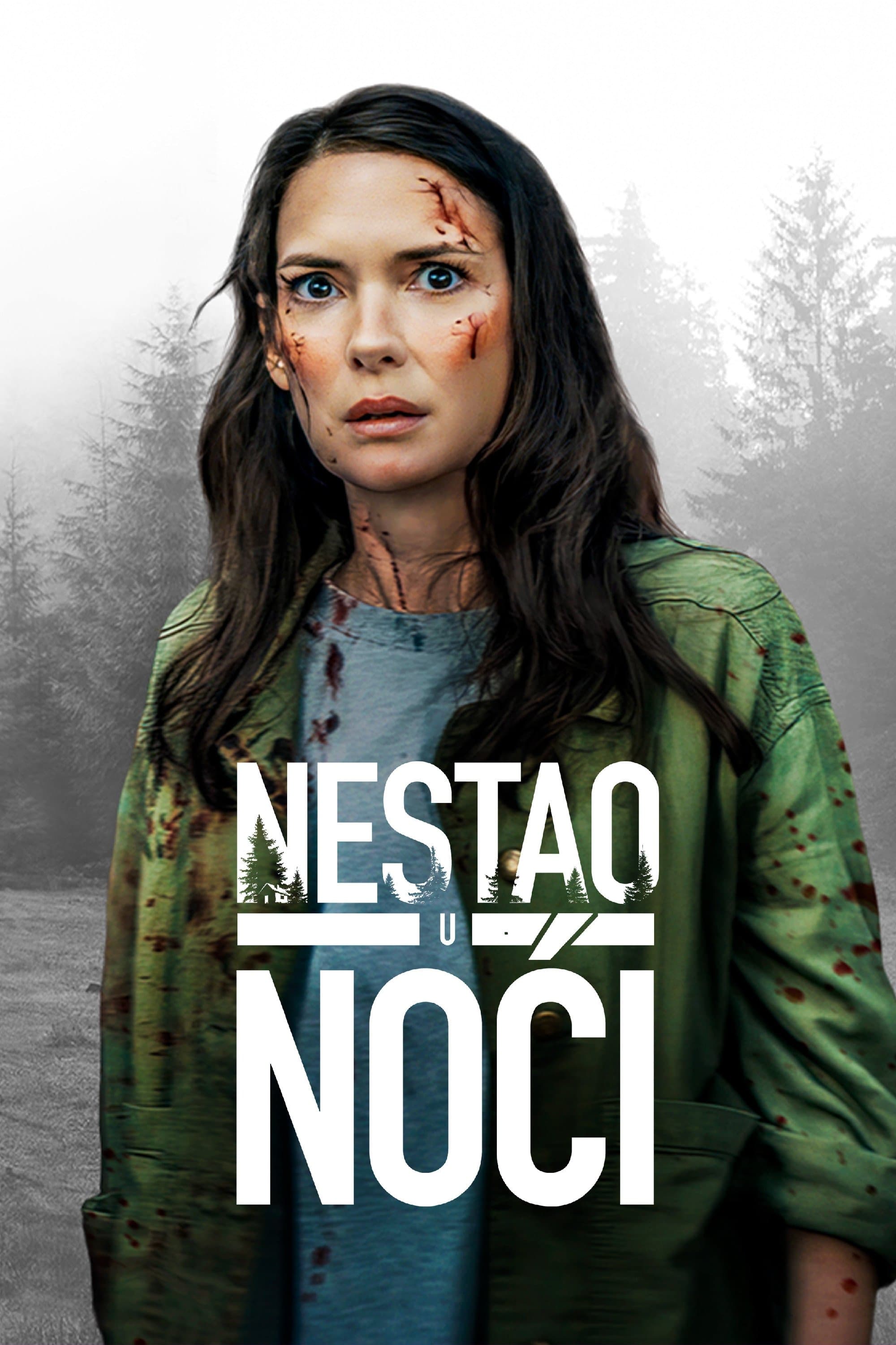 Nestao u noći