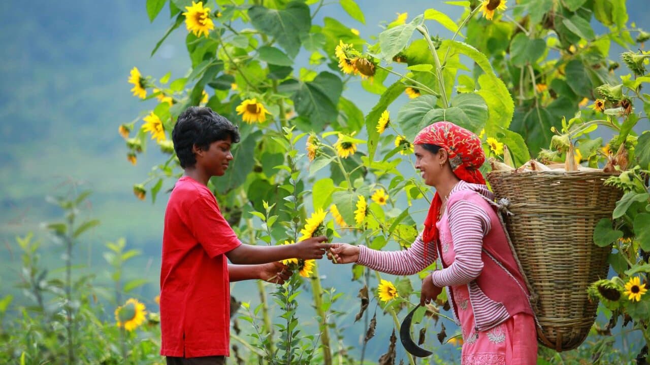 Santosh Verma