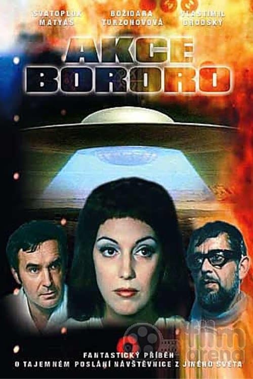 Operation Bororo