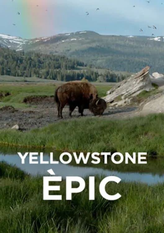 Epic Yellowstone