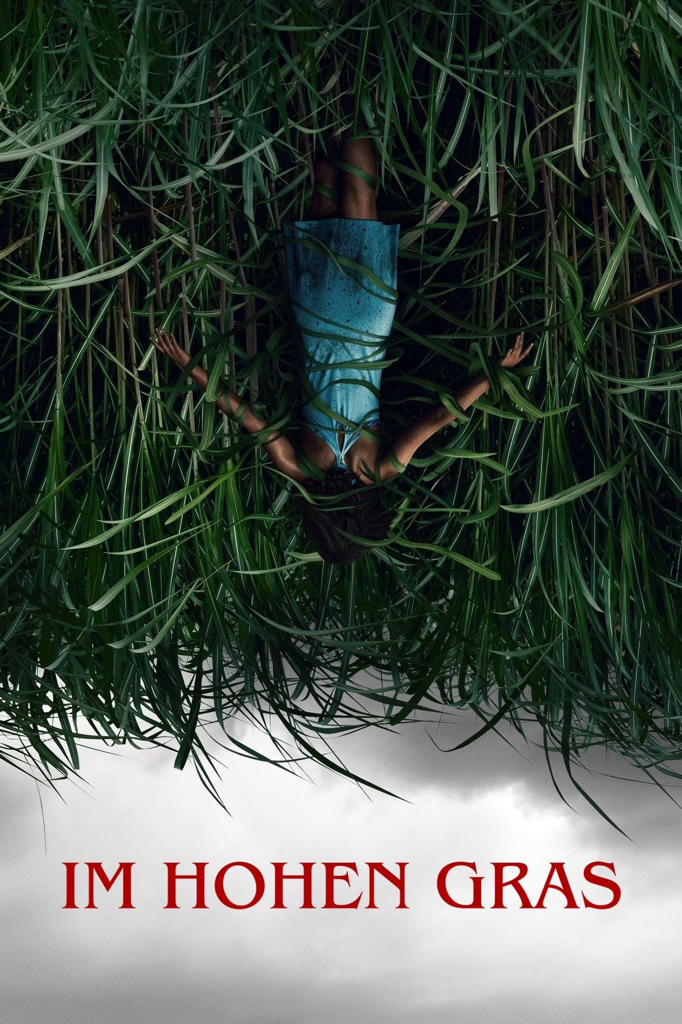 In the Tall Grass