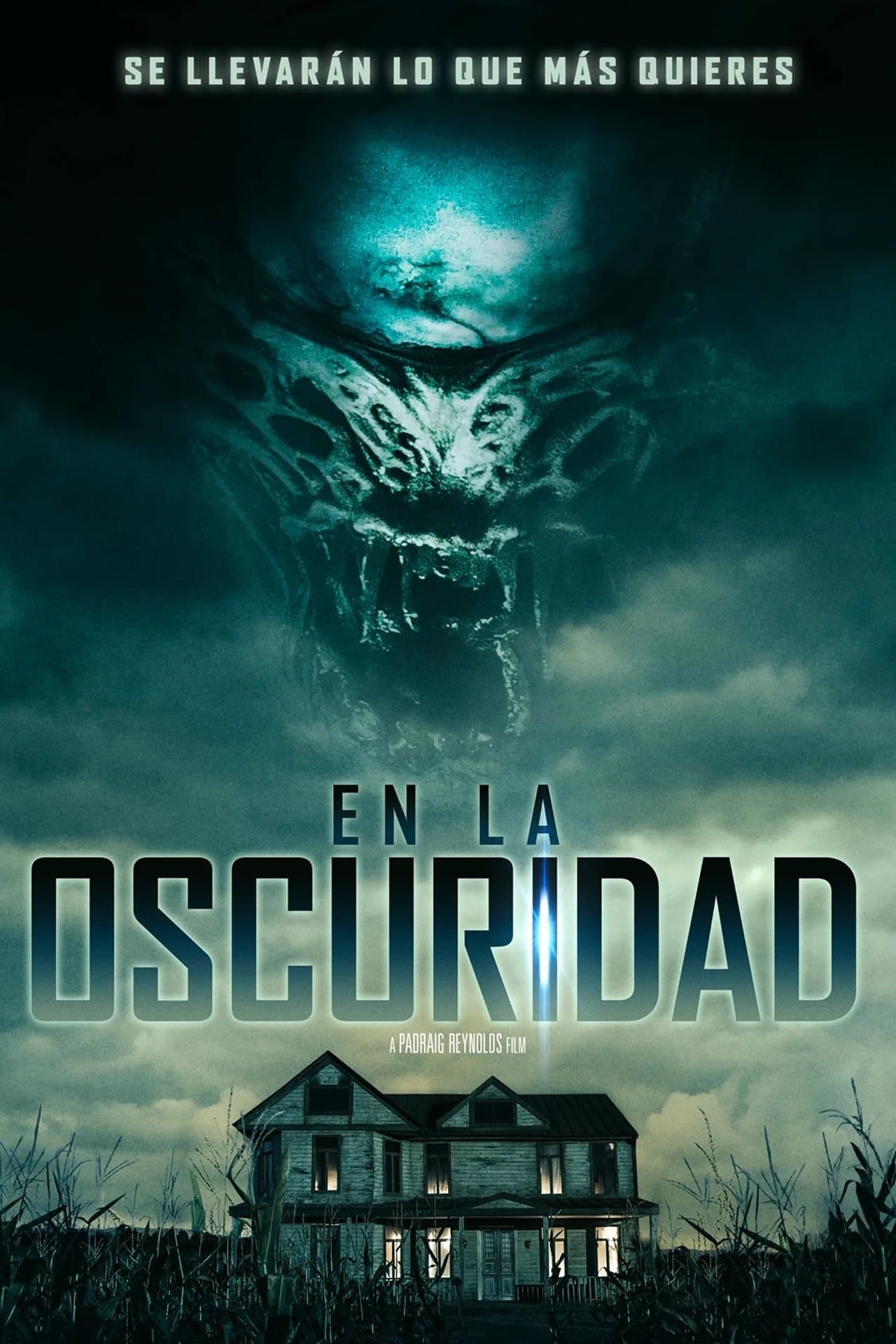 En la oscuridad
