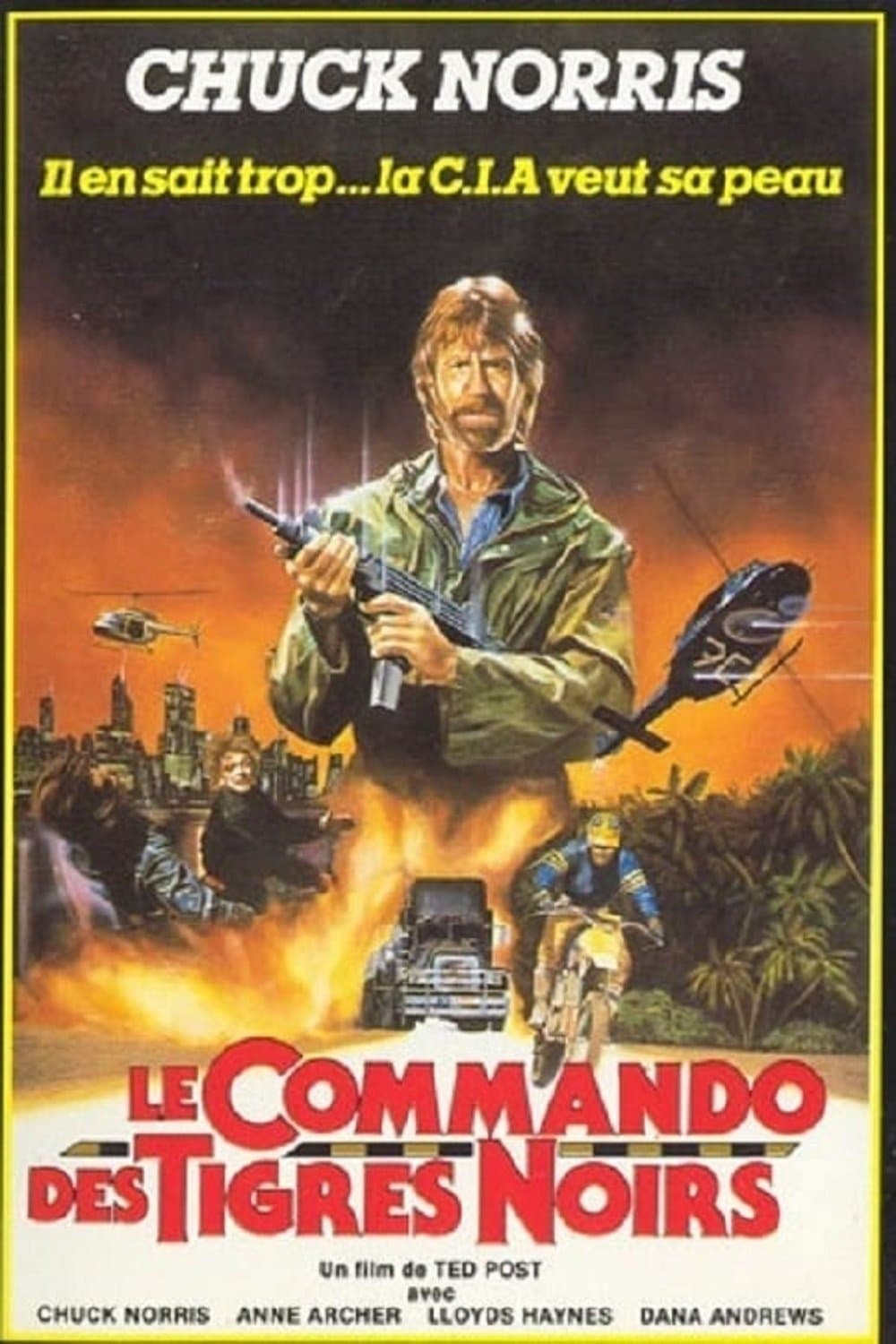 Le commando des Tigres Noirs