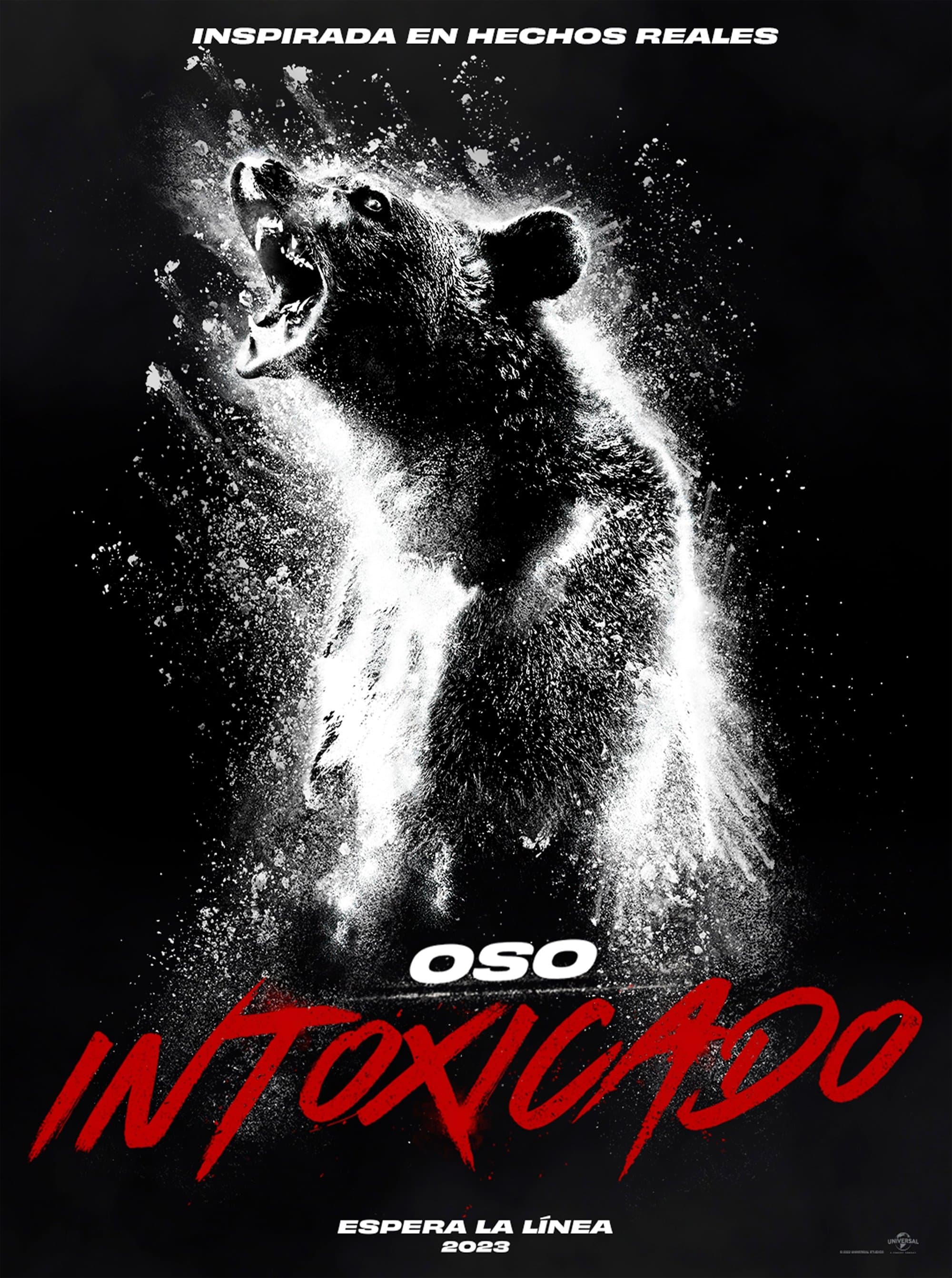 Oso vicioso