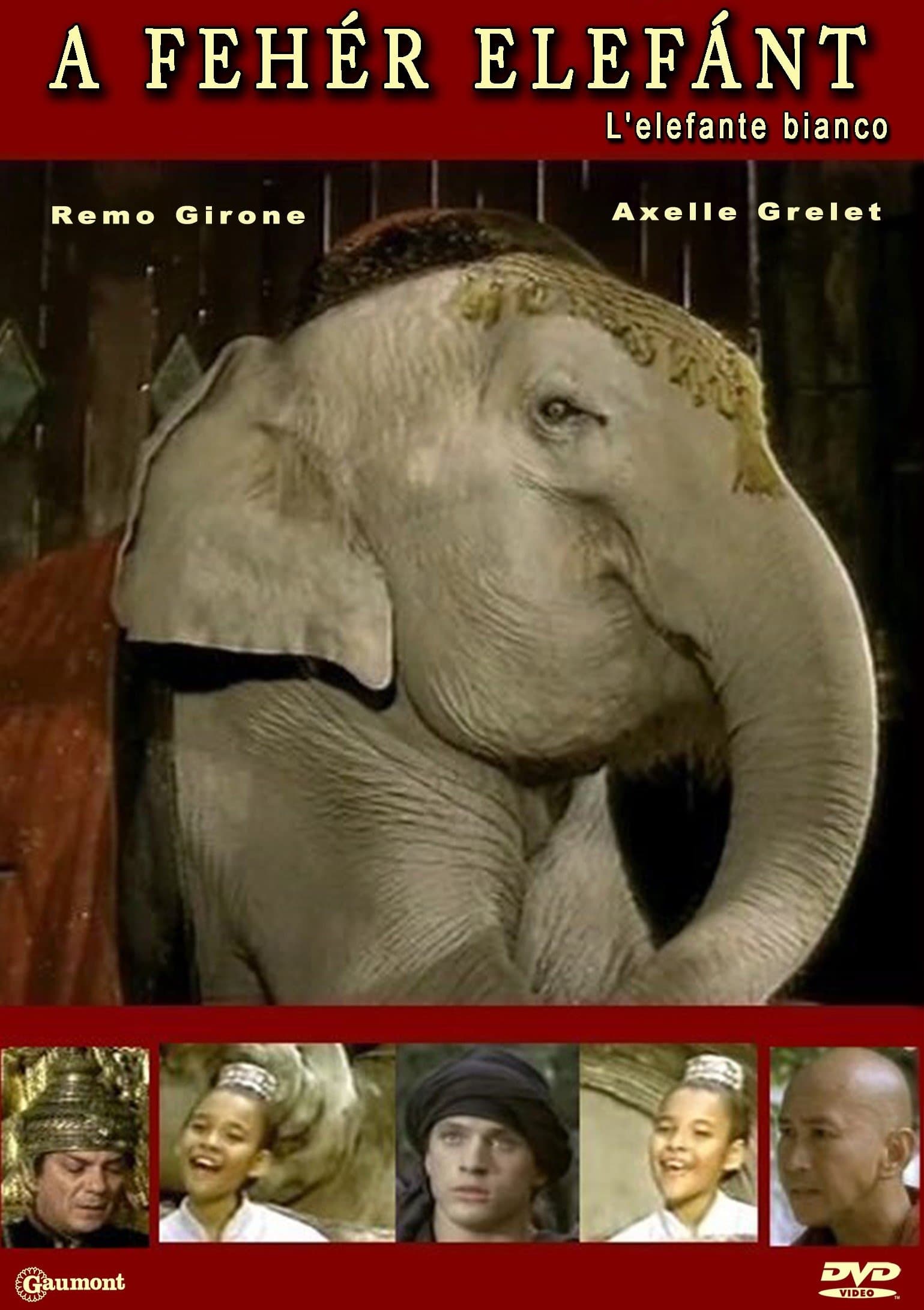 L'elefante bianco