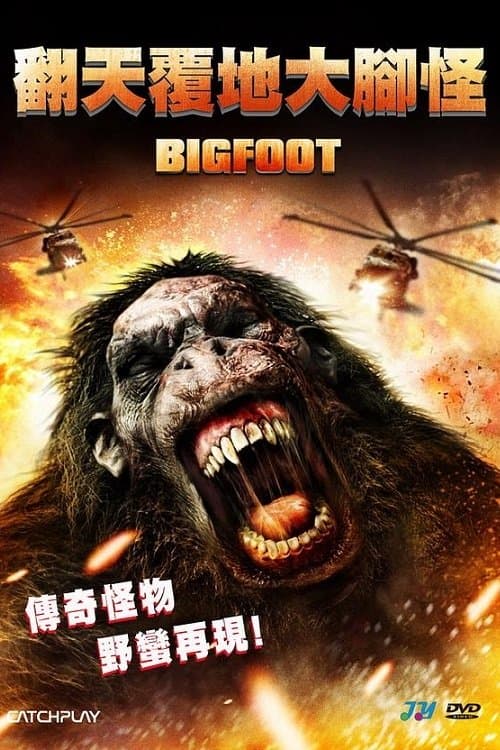 大脚怪