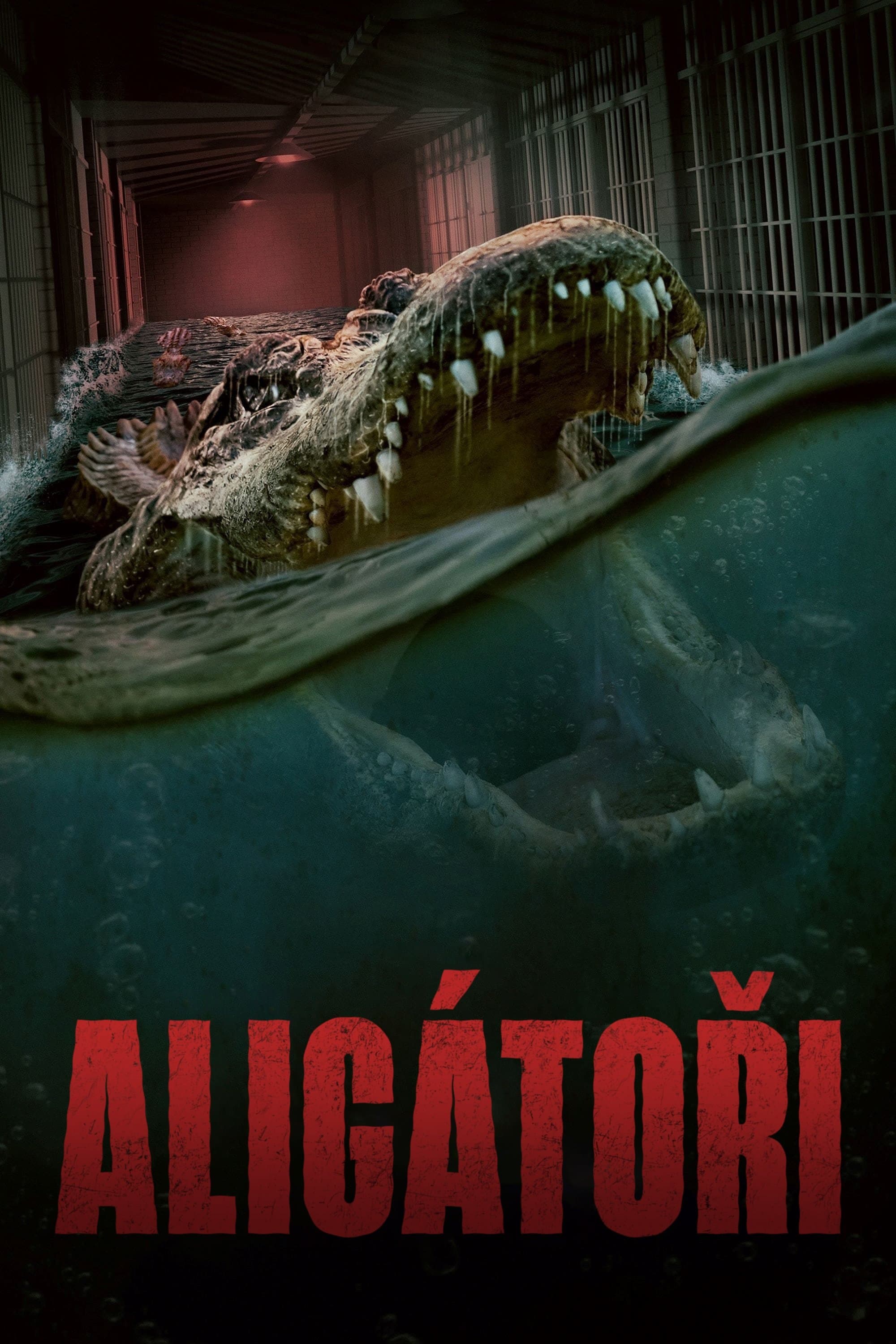 Aligátoři