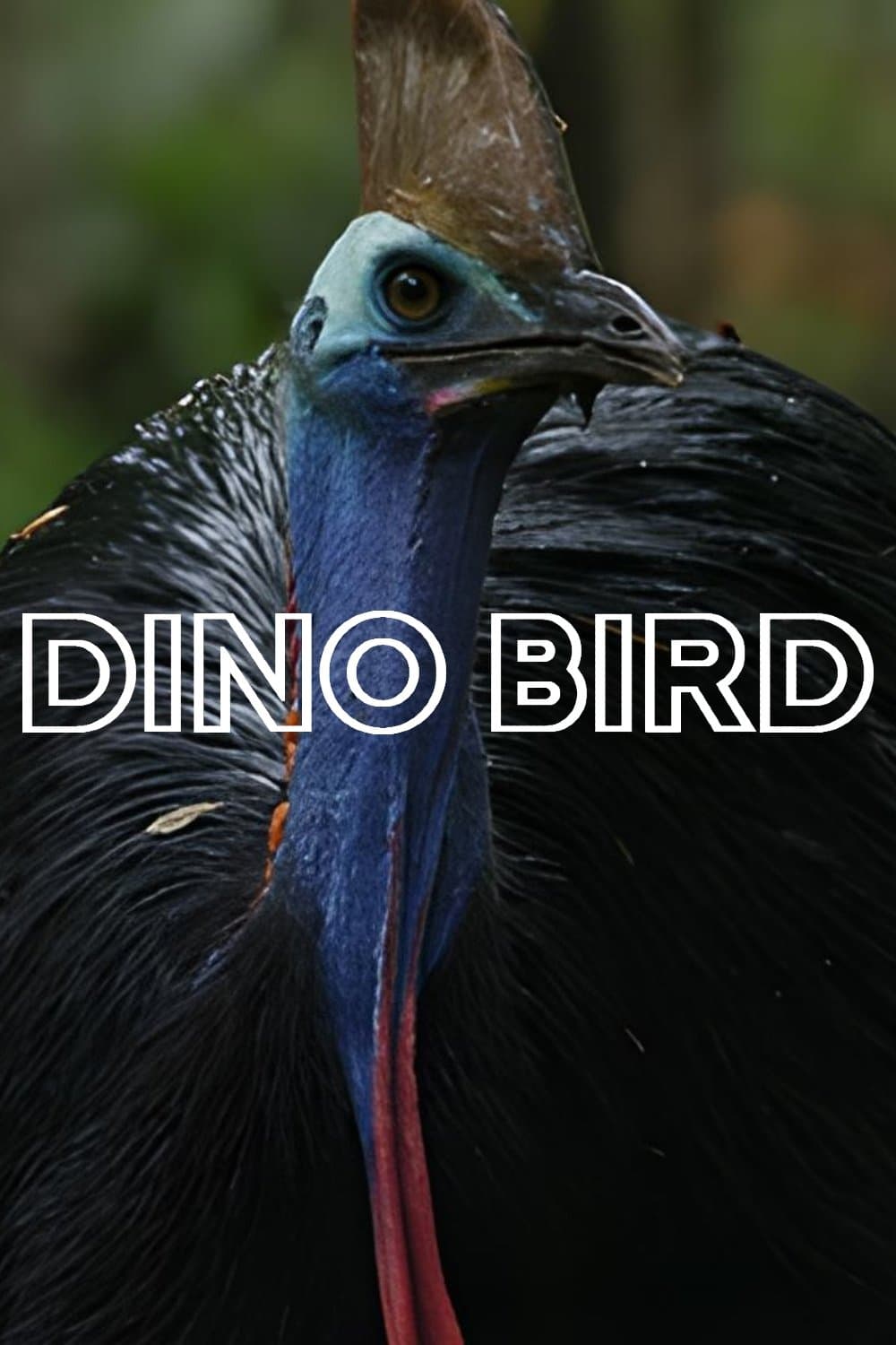 Dino Bird