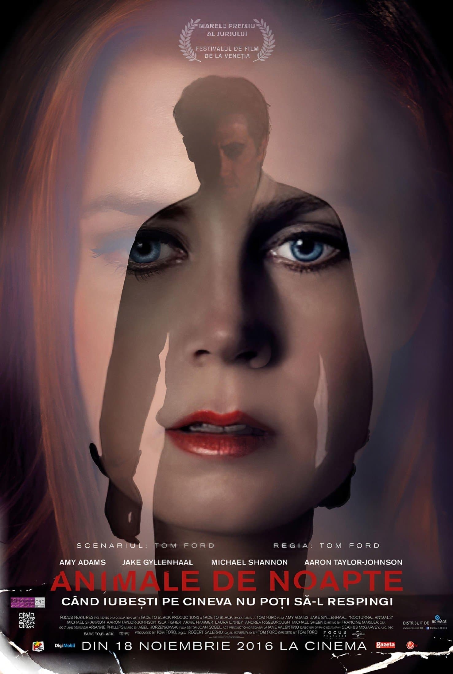Nocturnal Animals