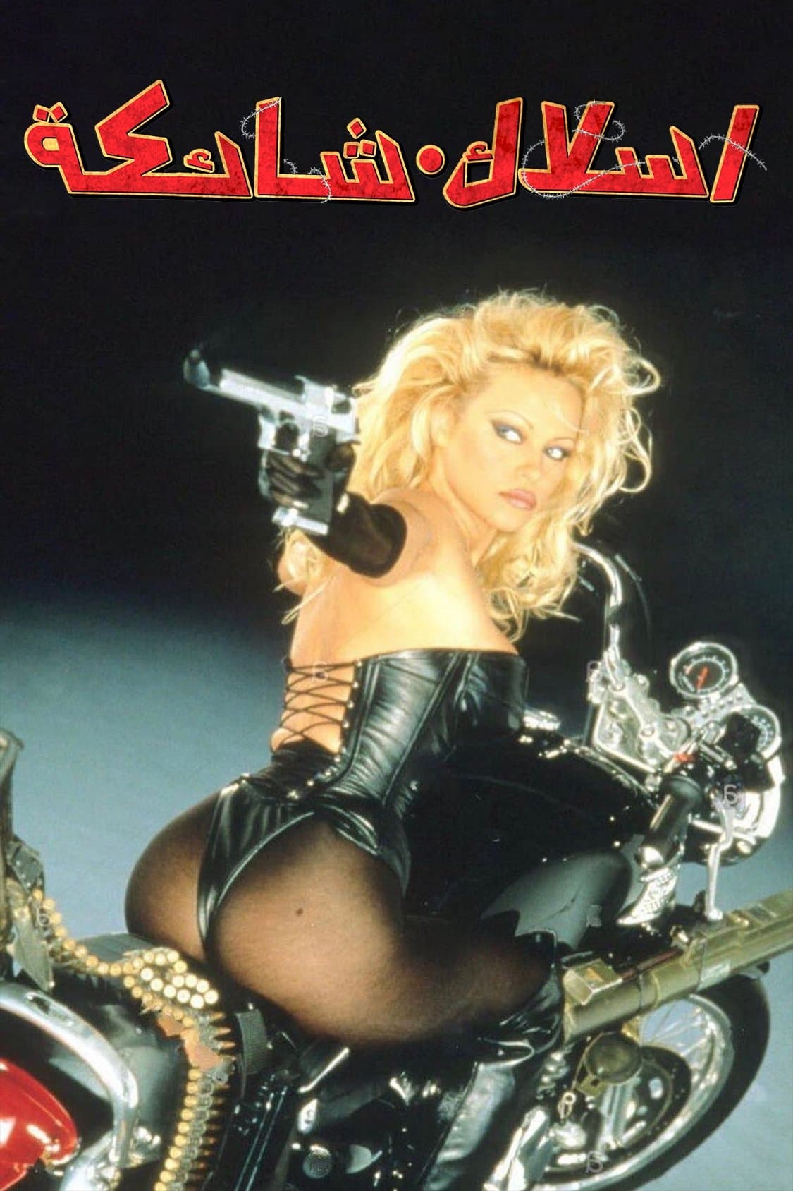 Barb Wire