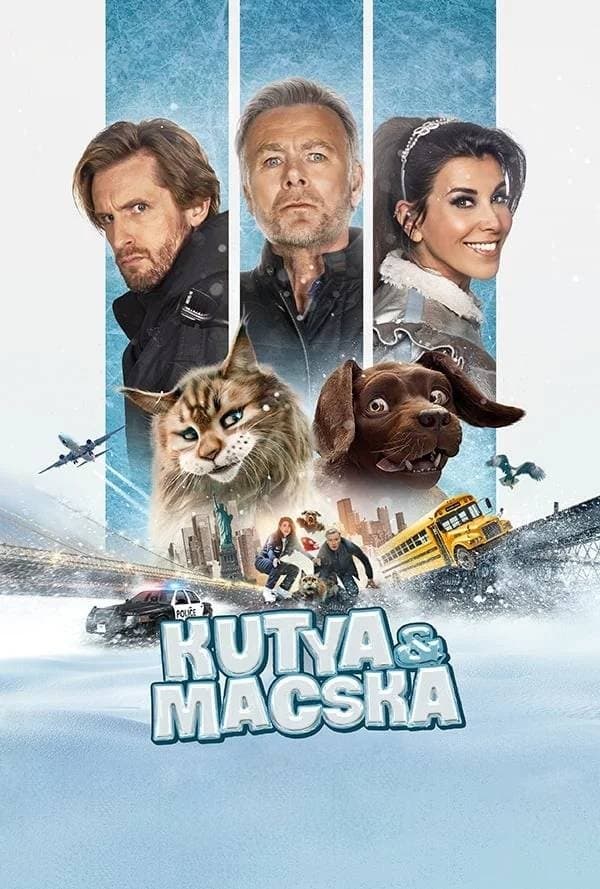 Kutya és macska