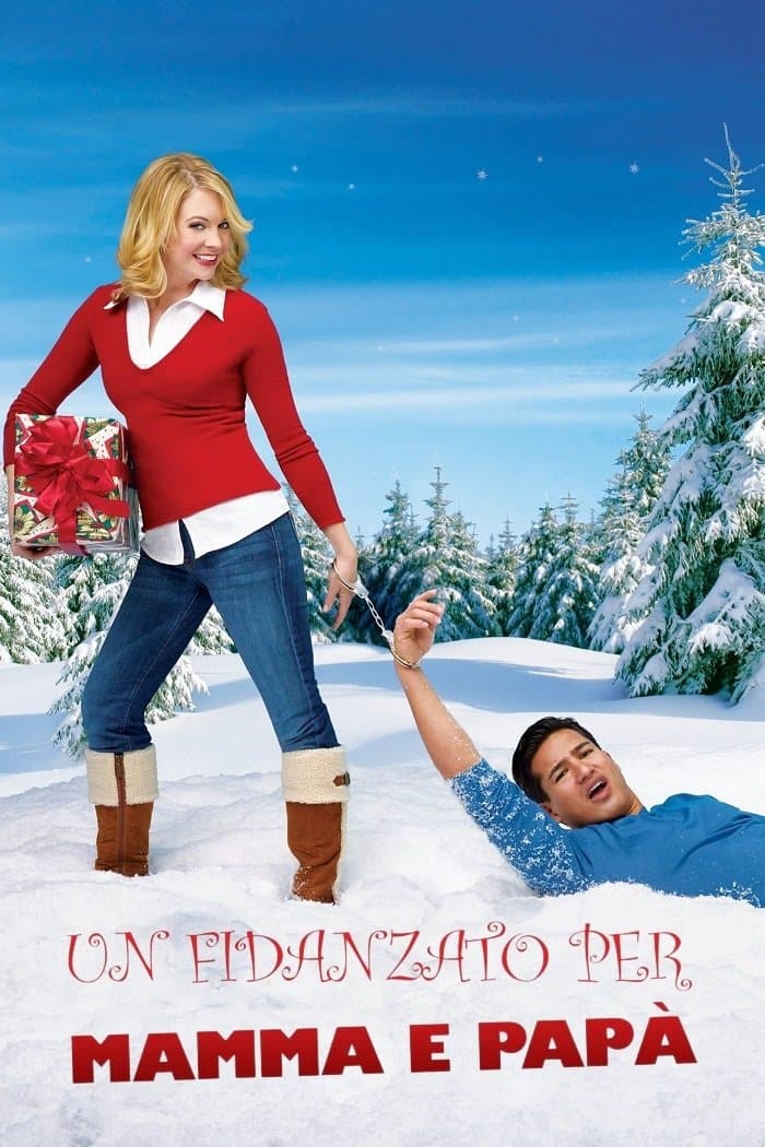 Holiday in Handcuffs