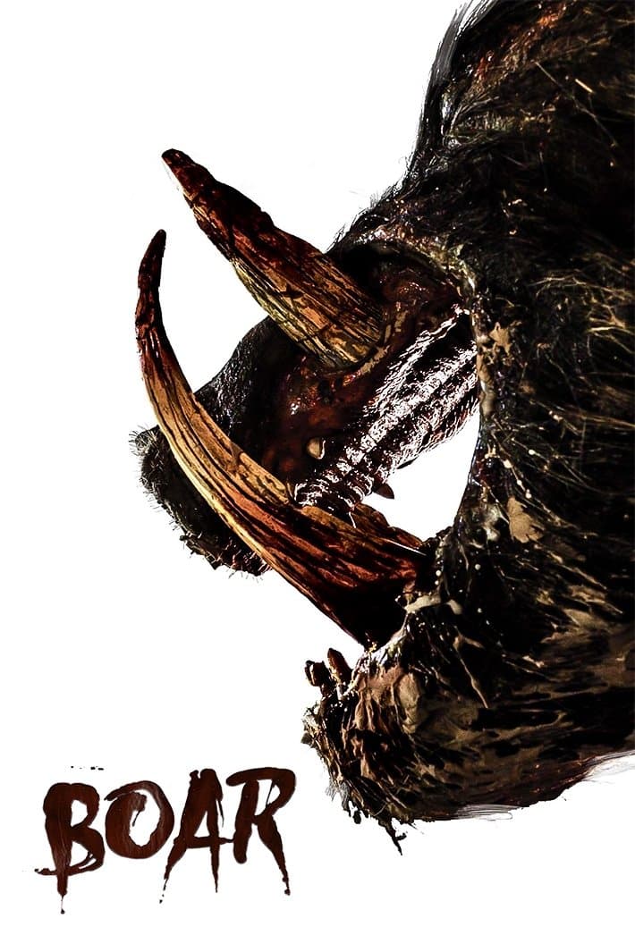 Boar
