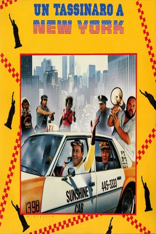 A Taxi Driver in New York