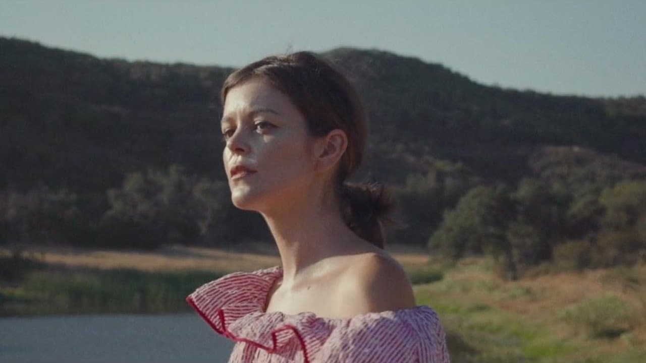 Nora Zehetner