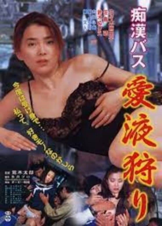 Chikan bus 2: Misoji no hoteri