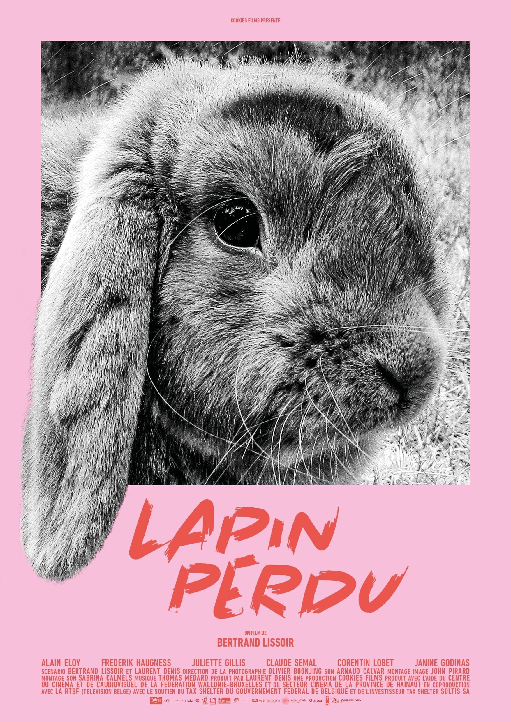 Lost Rabbit