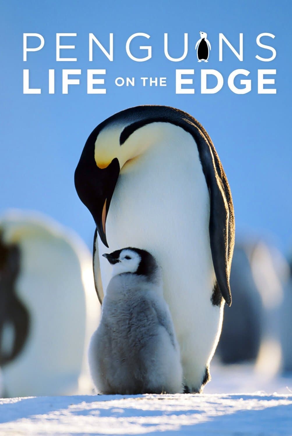 Penguins: Life on the Edge