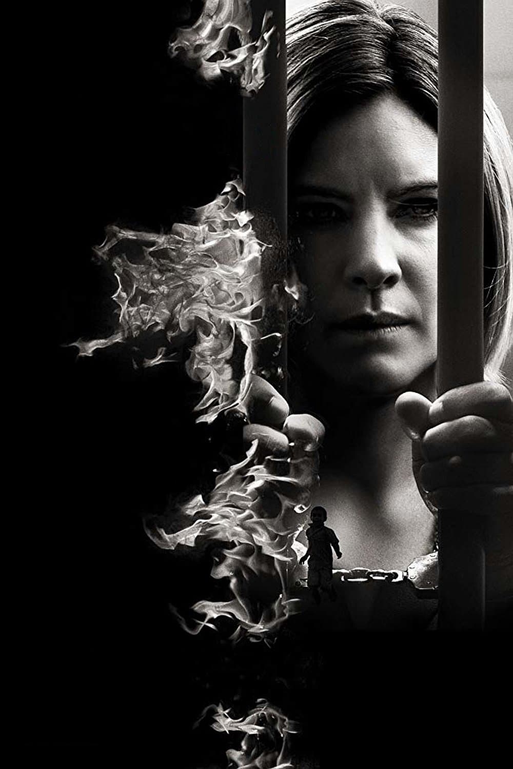 Annika Bengtzon: Crime Reporter - Lifetime
