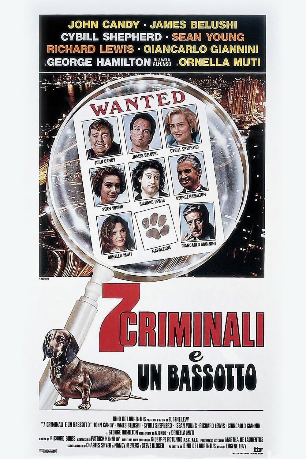 7 criminali e un bassotto