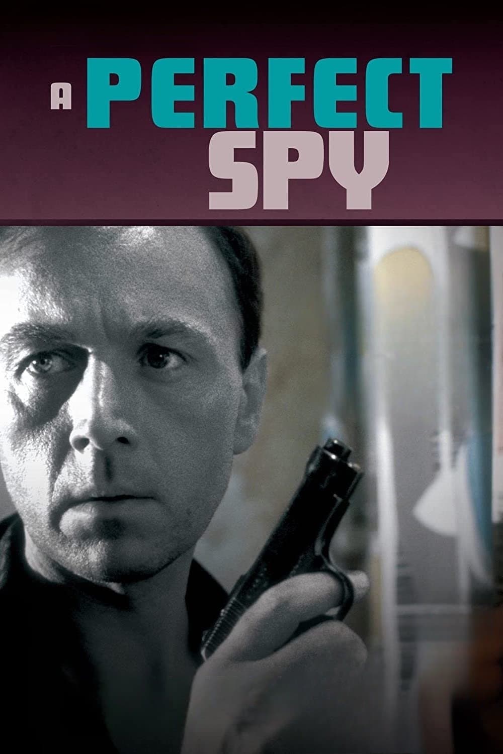 A Perfect Spy