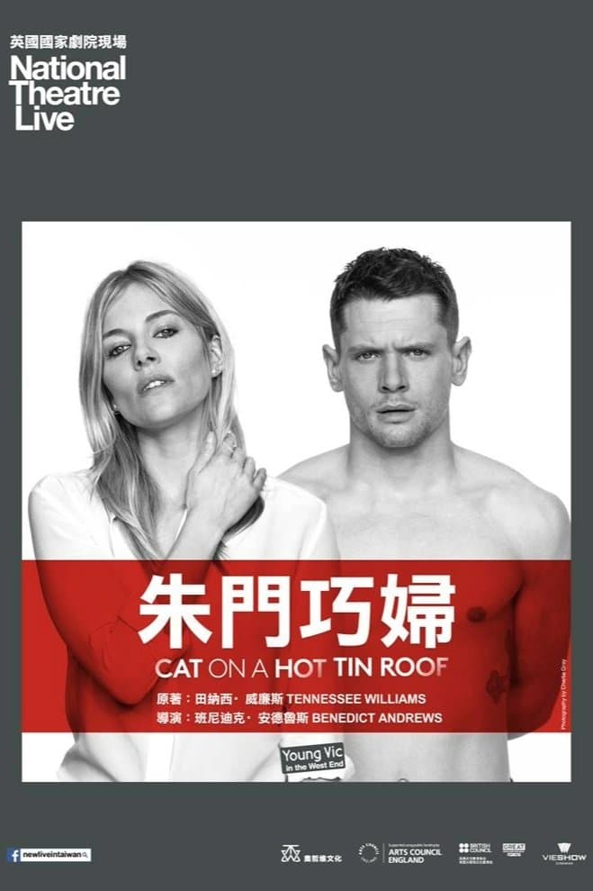 热铁皮屋顶上的猫