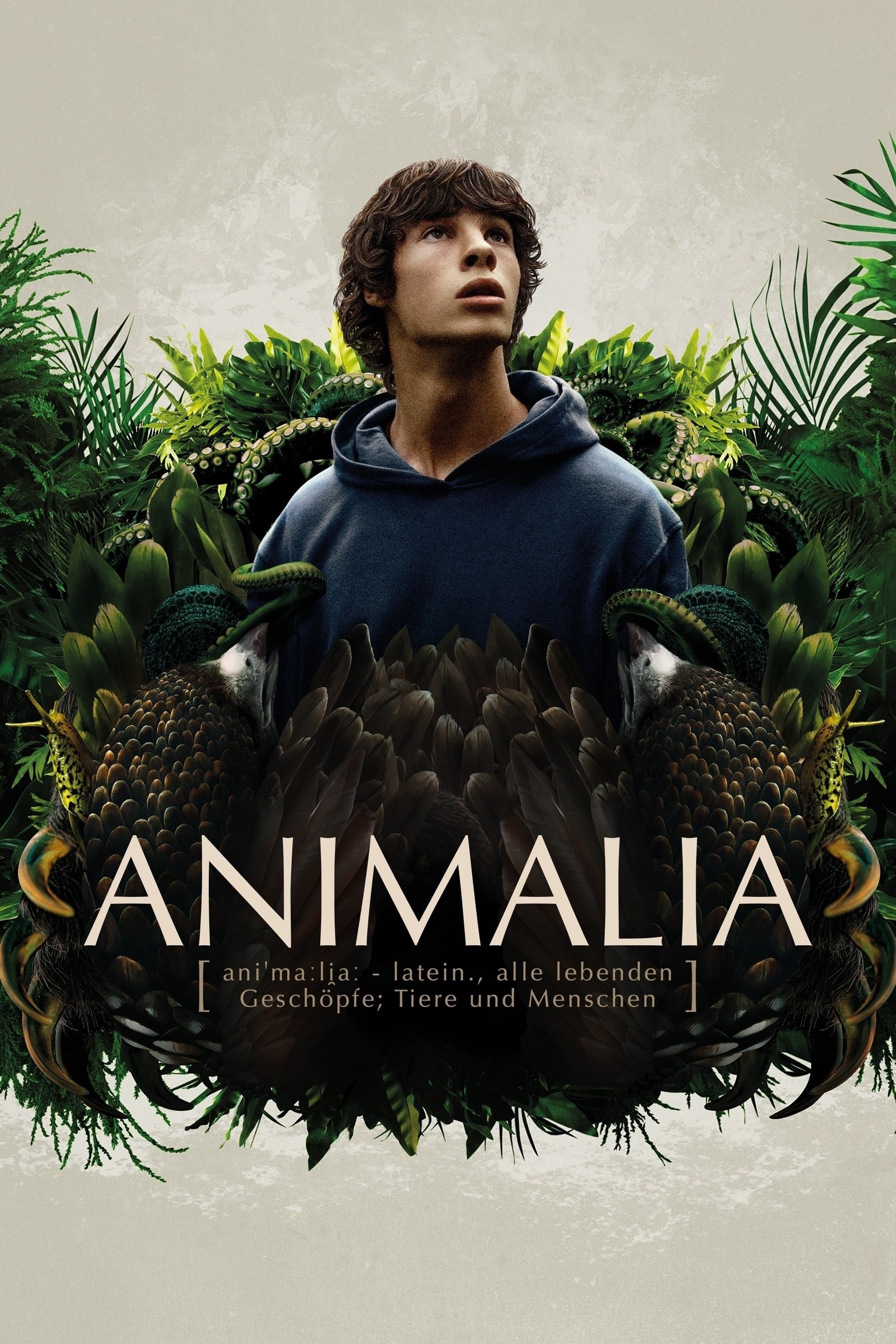 The Animal Kingdom