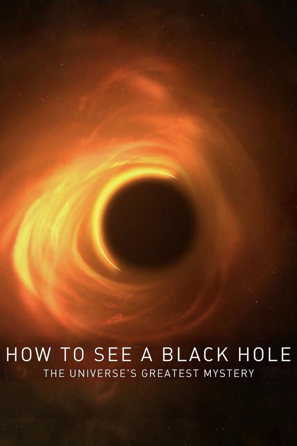 How to See a Black Hole: The Universe's Greatest Mystery
