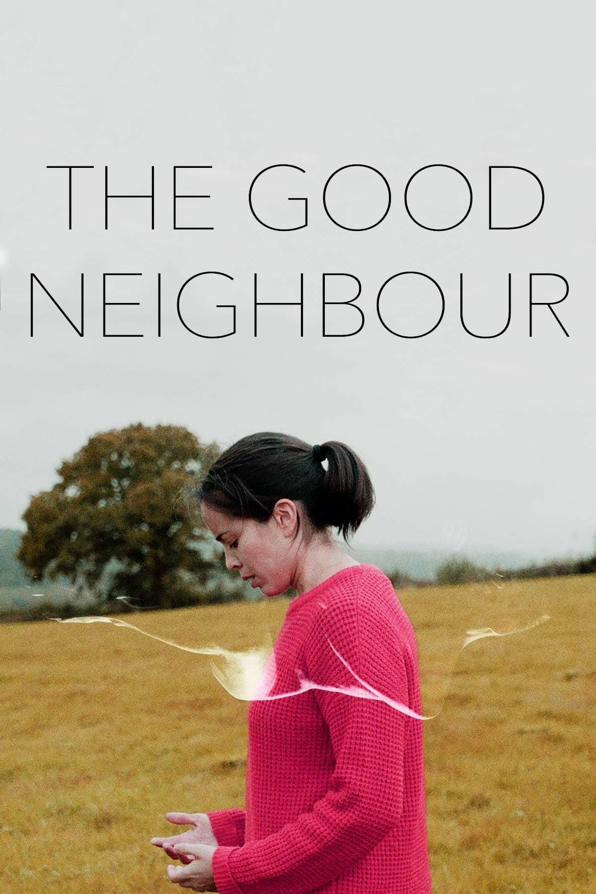 The Good Neighbour