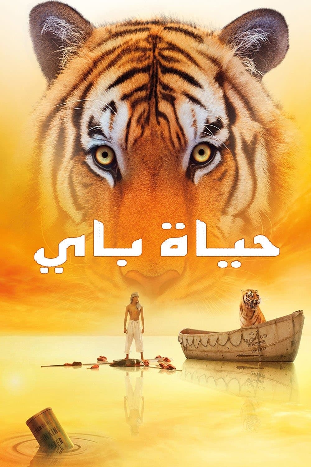 Life of Pi