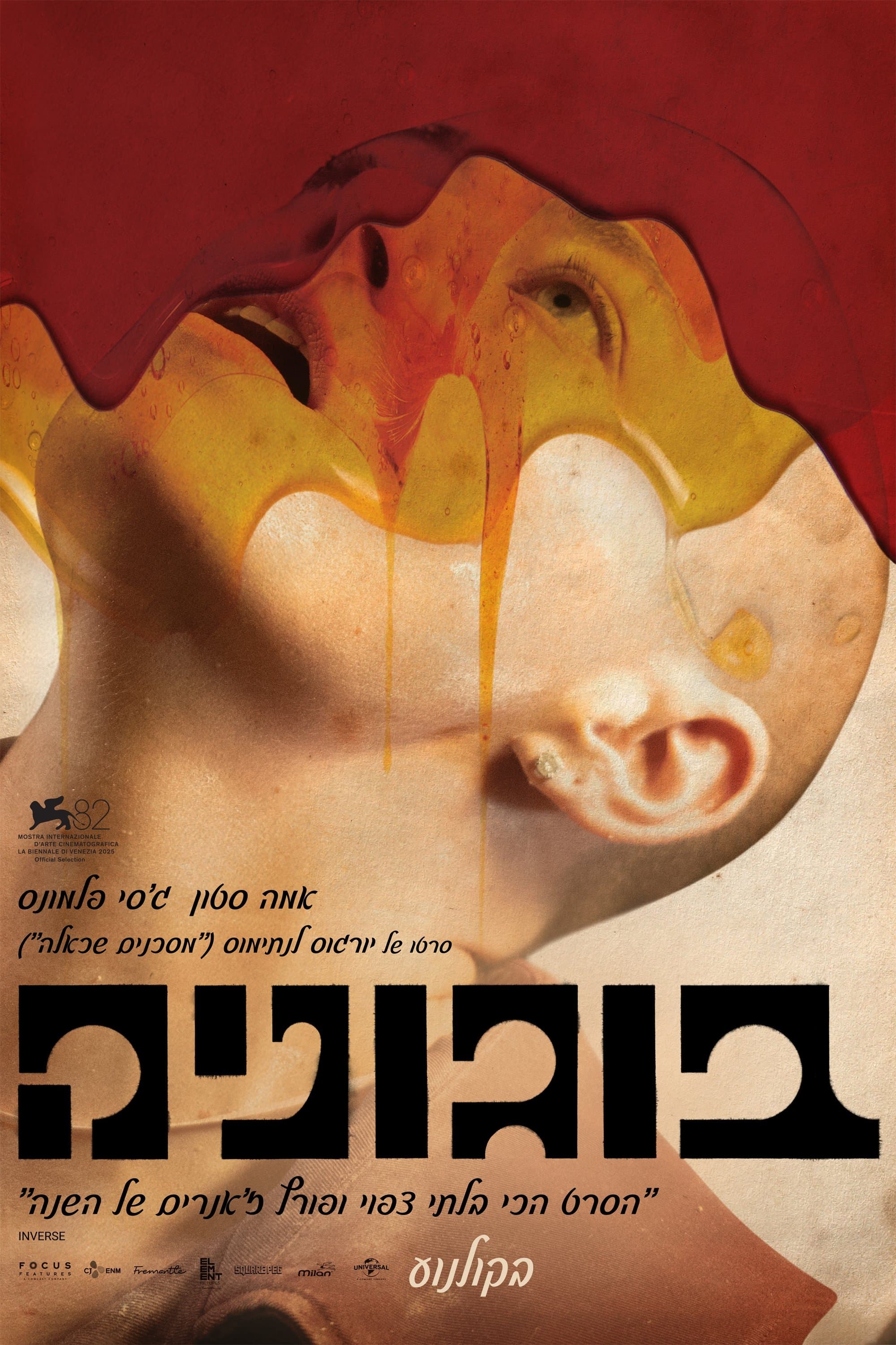 בוגוניה