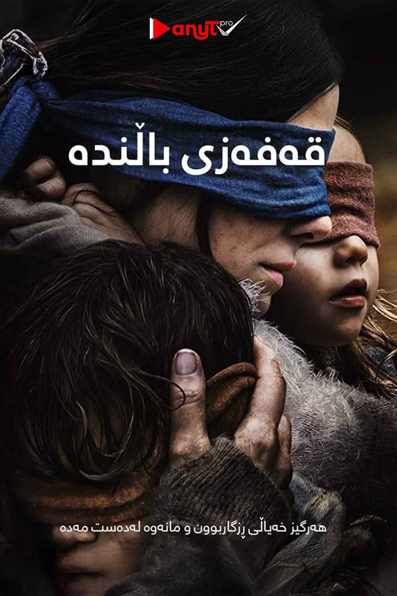 Bird Box