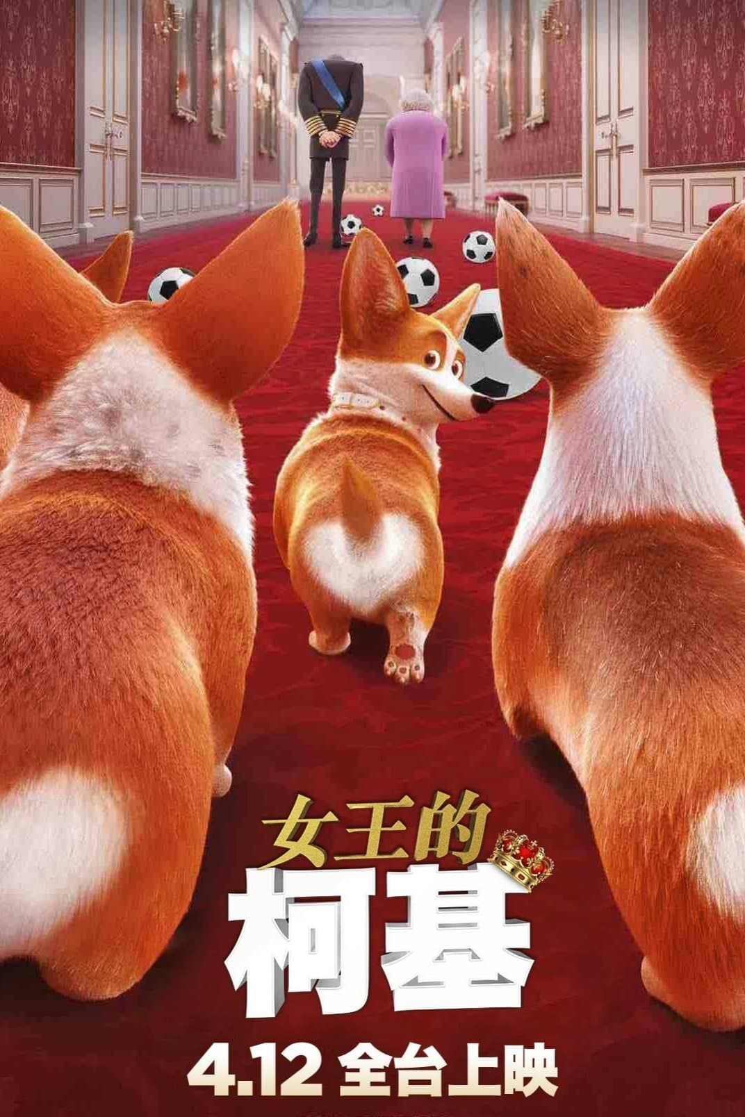 女王的柯基
