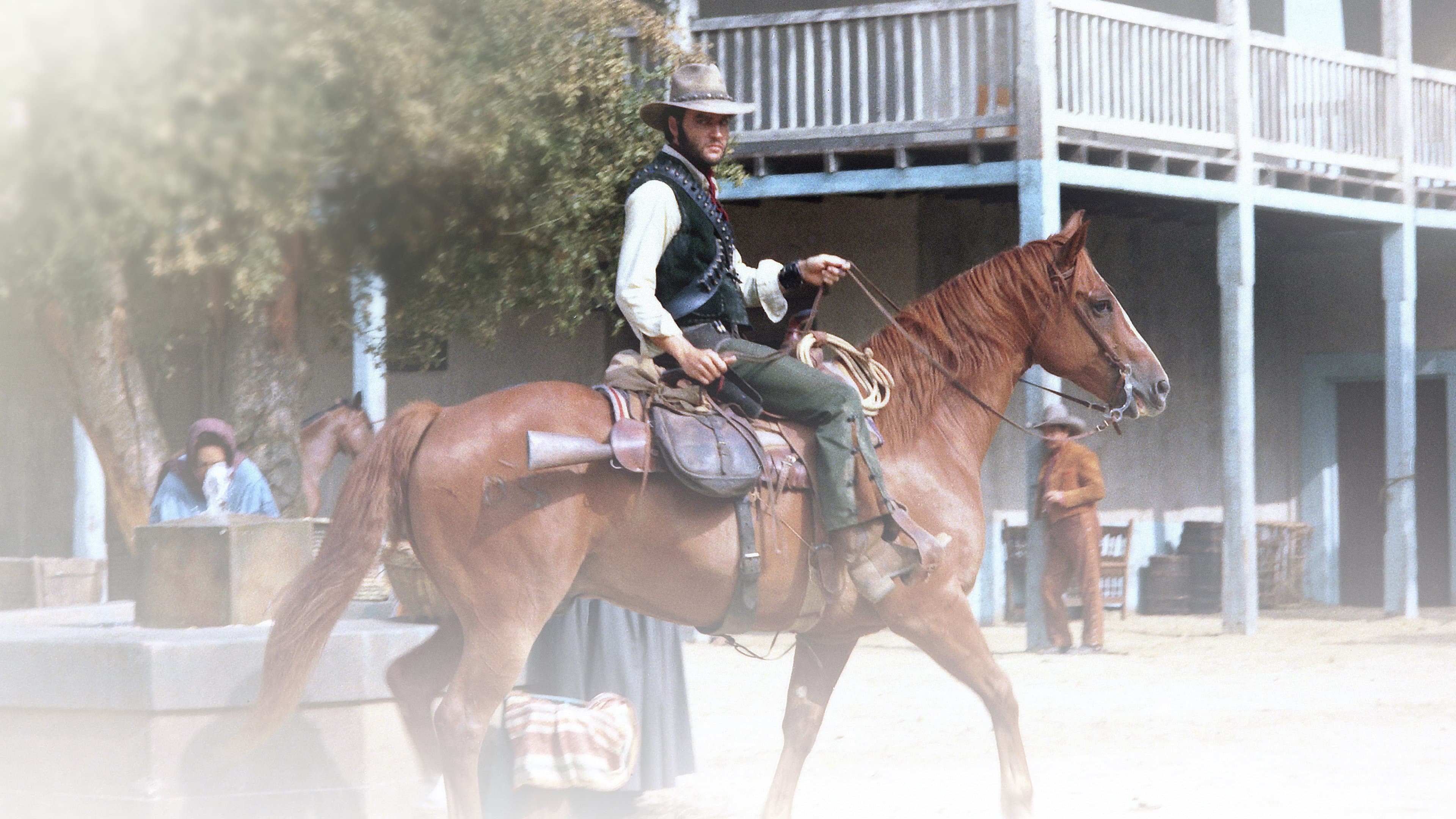 Rodd Redwing