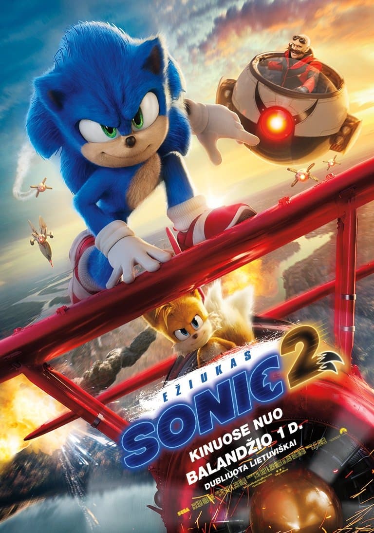 Ežiukas Sonic 2
