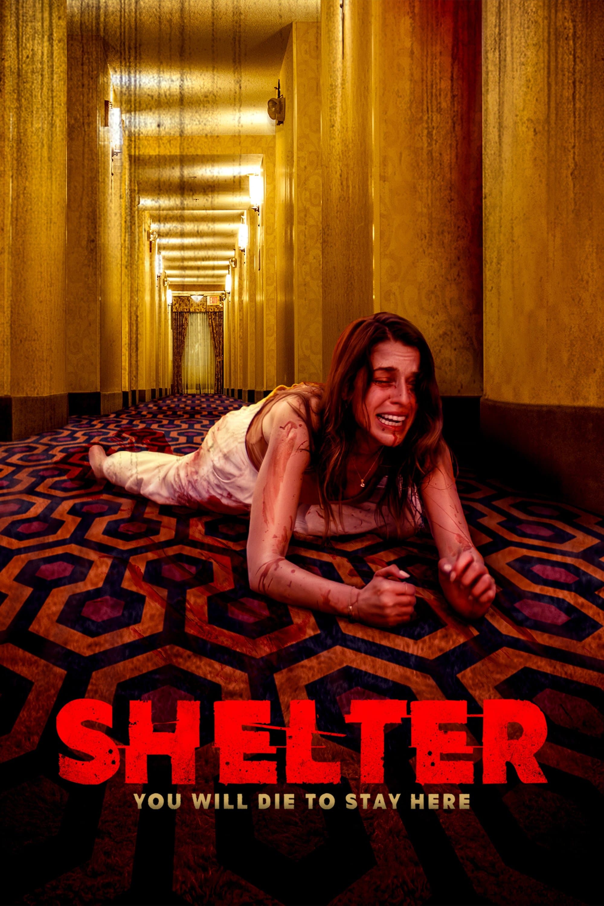 Shelter in Place