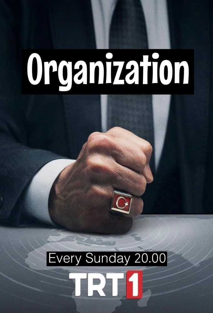 Organizacija