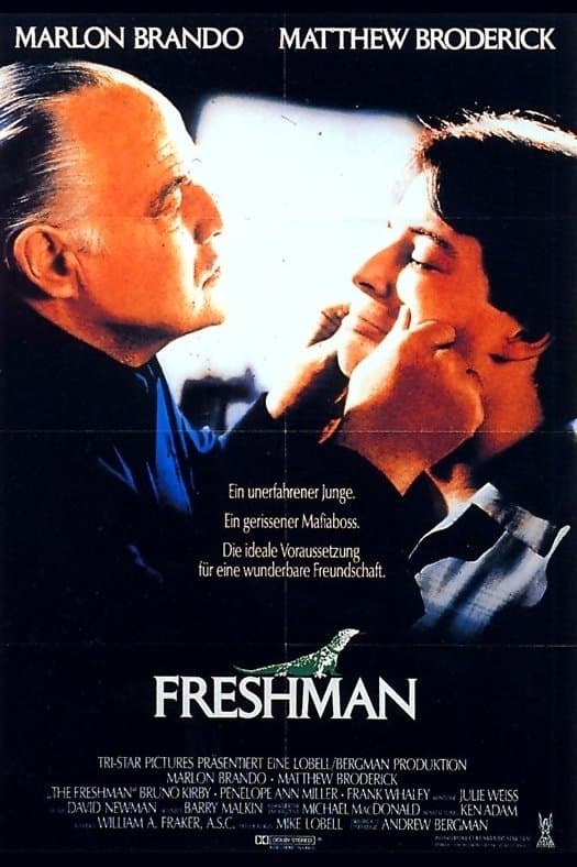 The Freshman