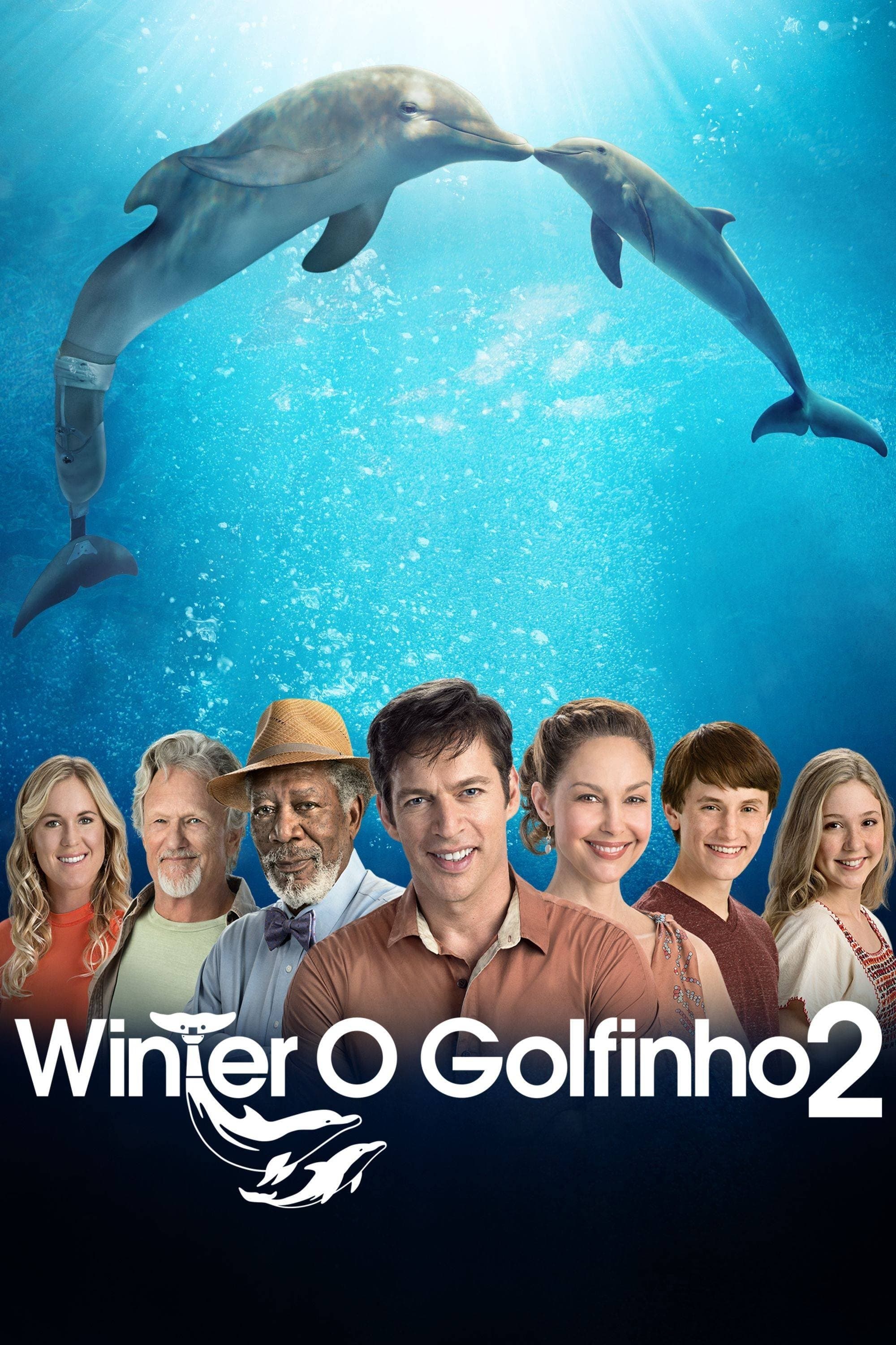 Dolphin Tale 2