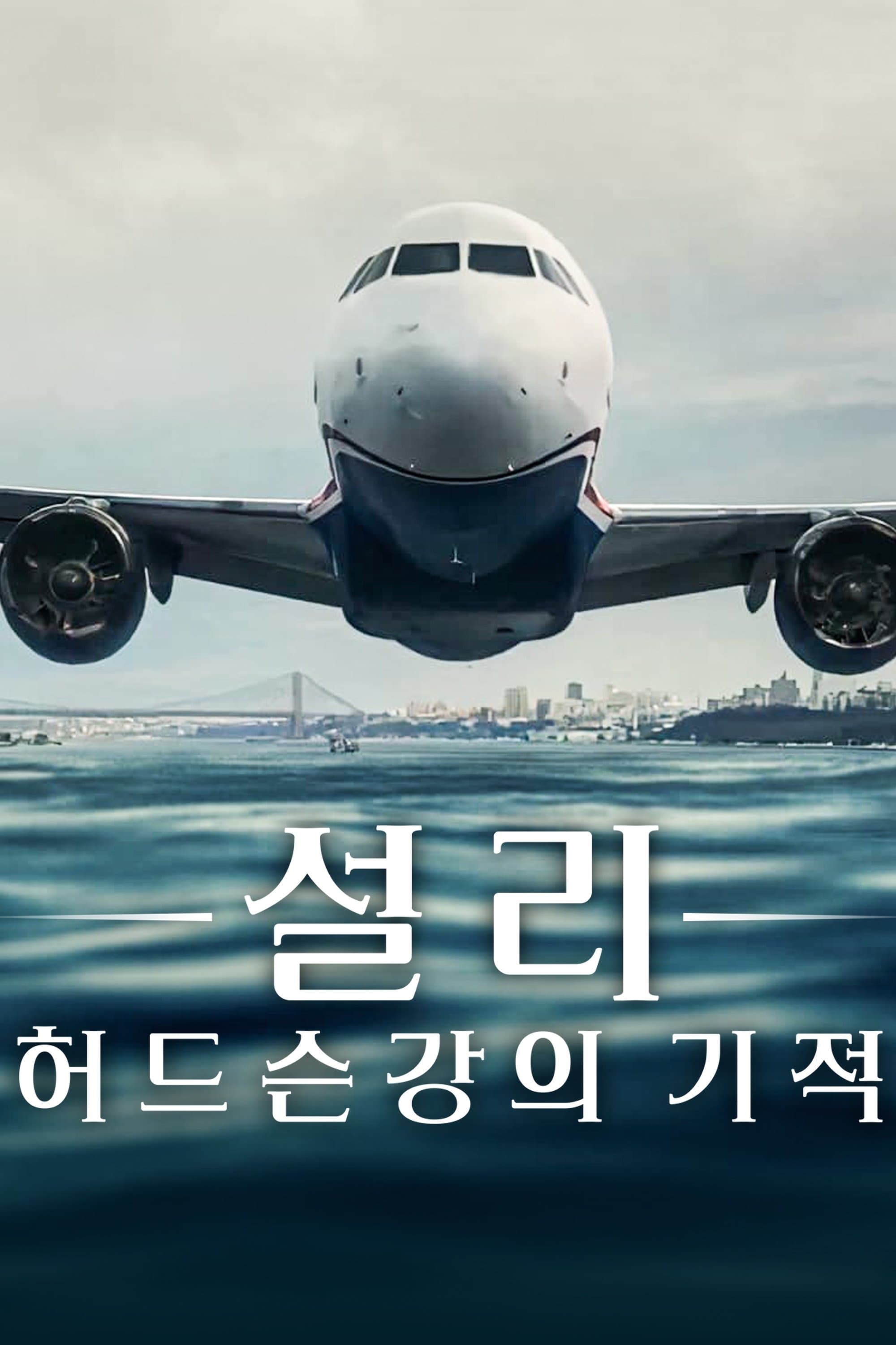 설리: 허드슨강의 기적