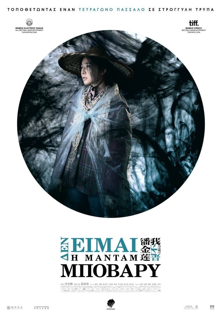 I Am Not Madame Bovary