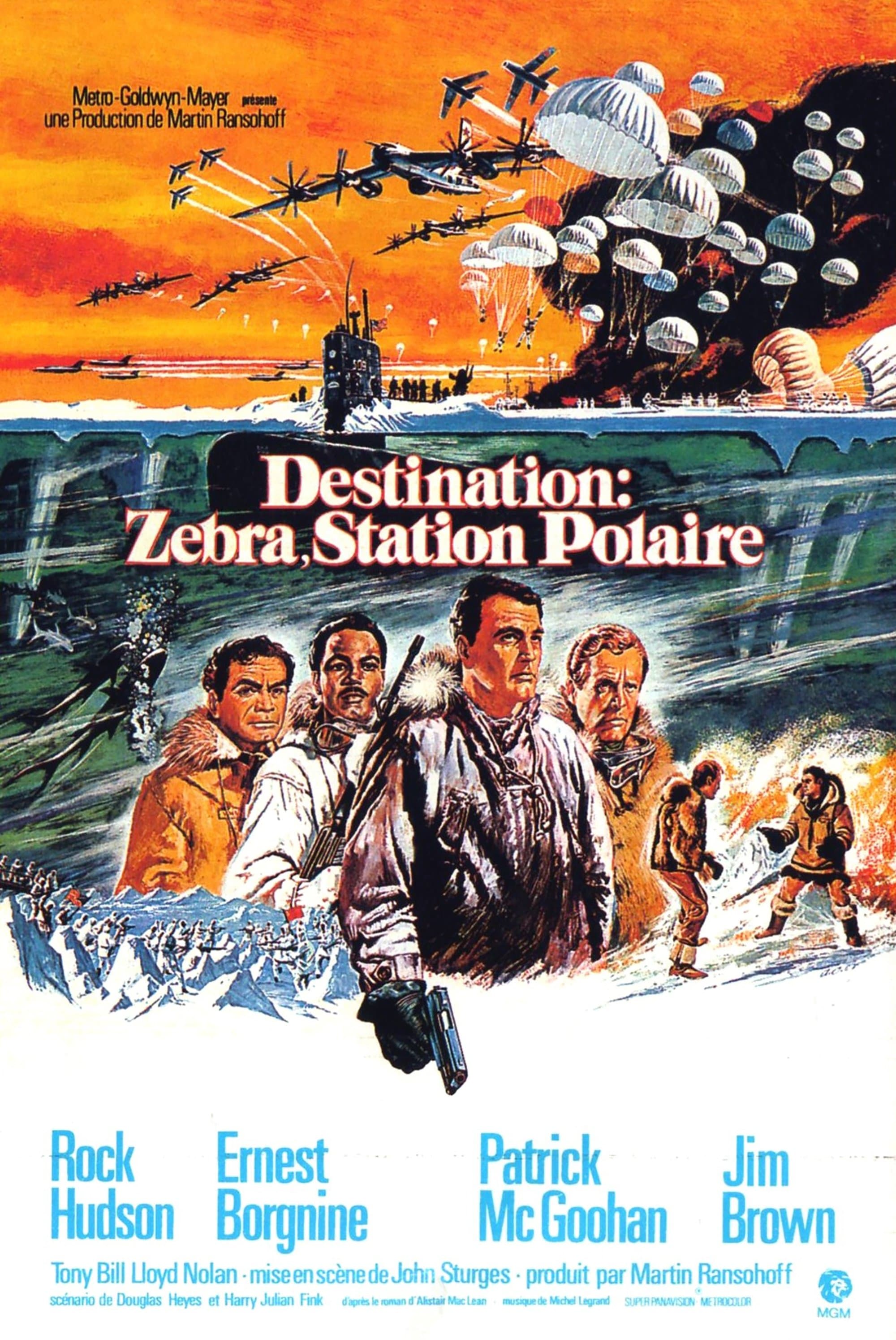 Destination : Zebra, station polaire