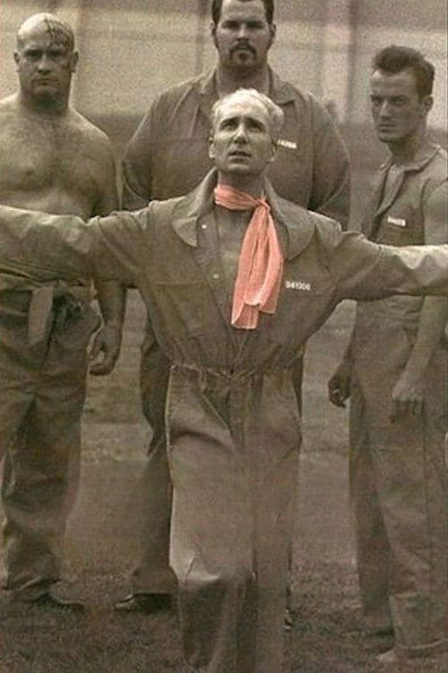 The Thin Pink Line