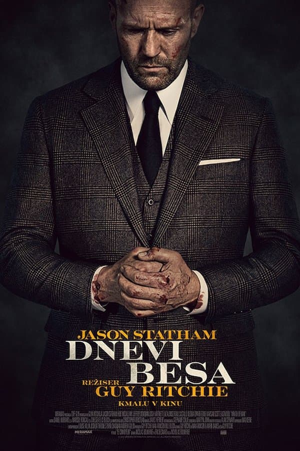 Dnevi besa