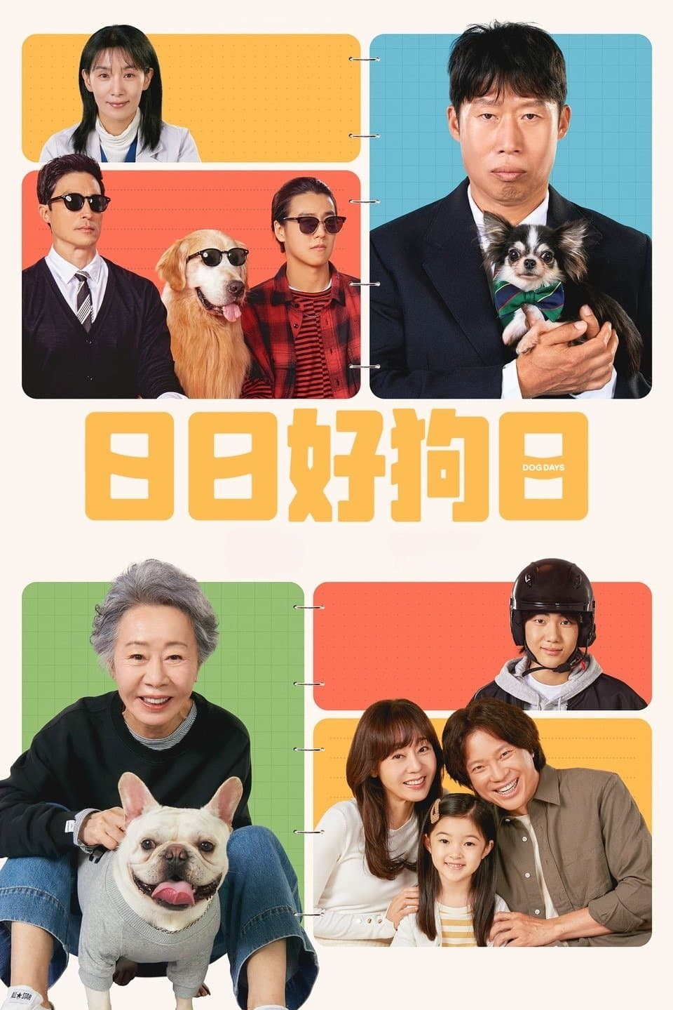 宠爱