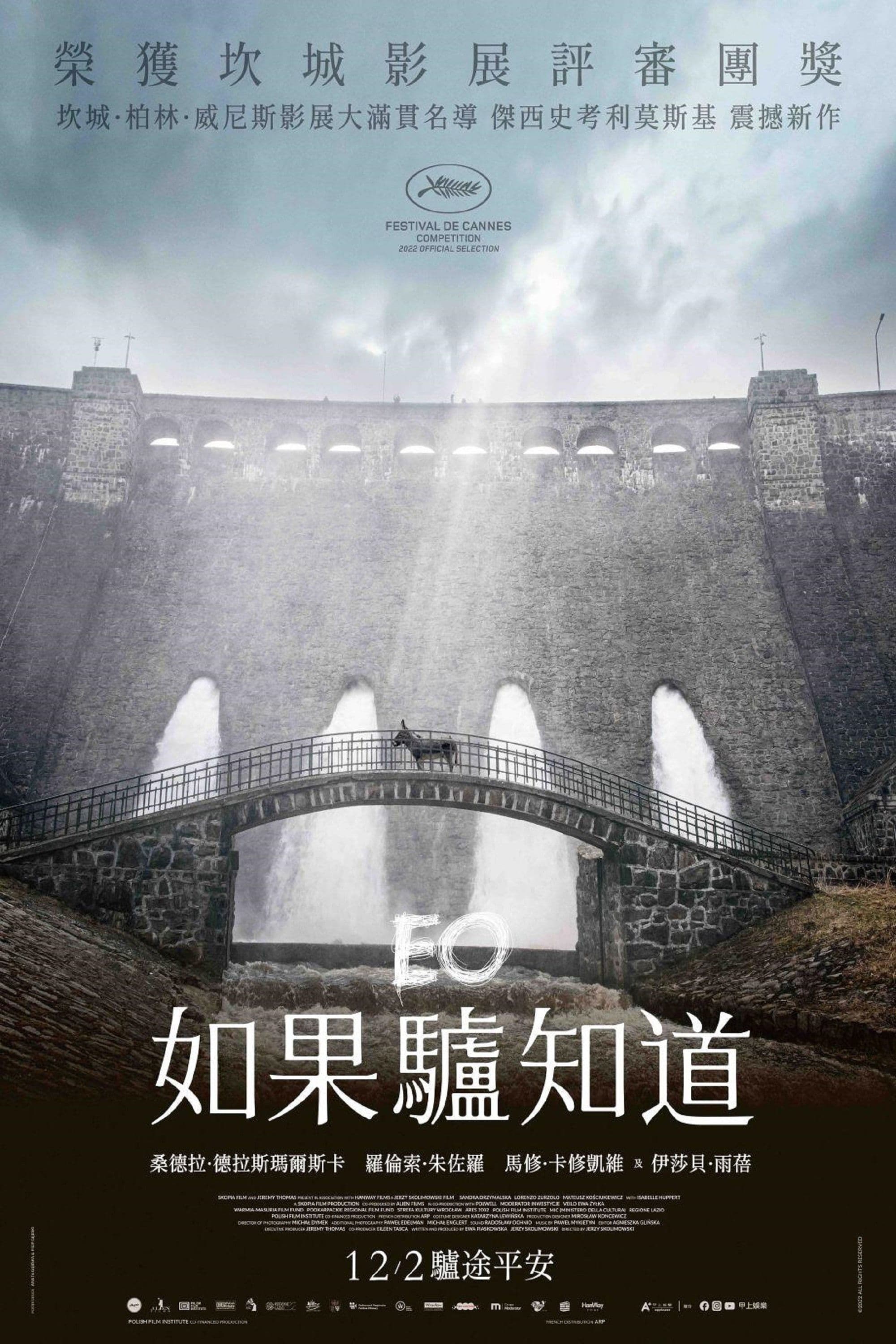 如果驢知道