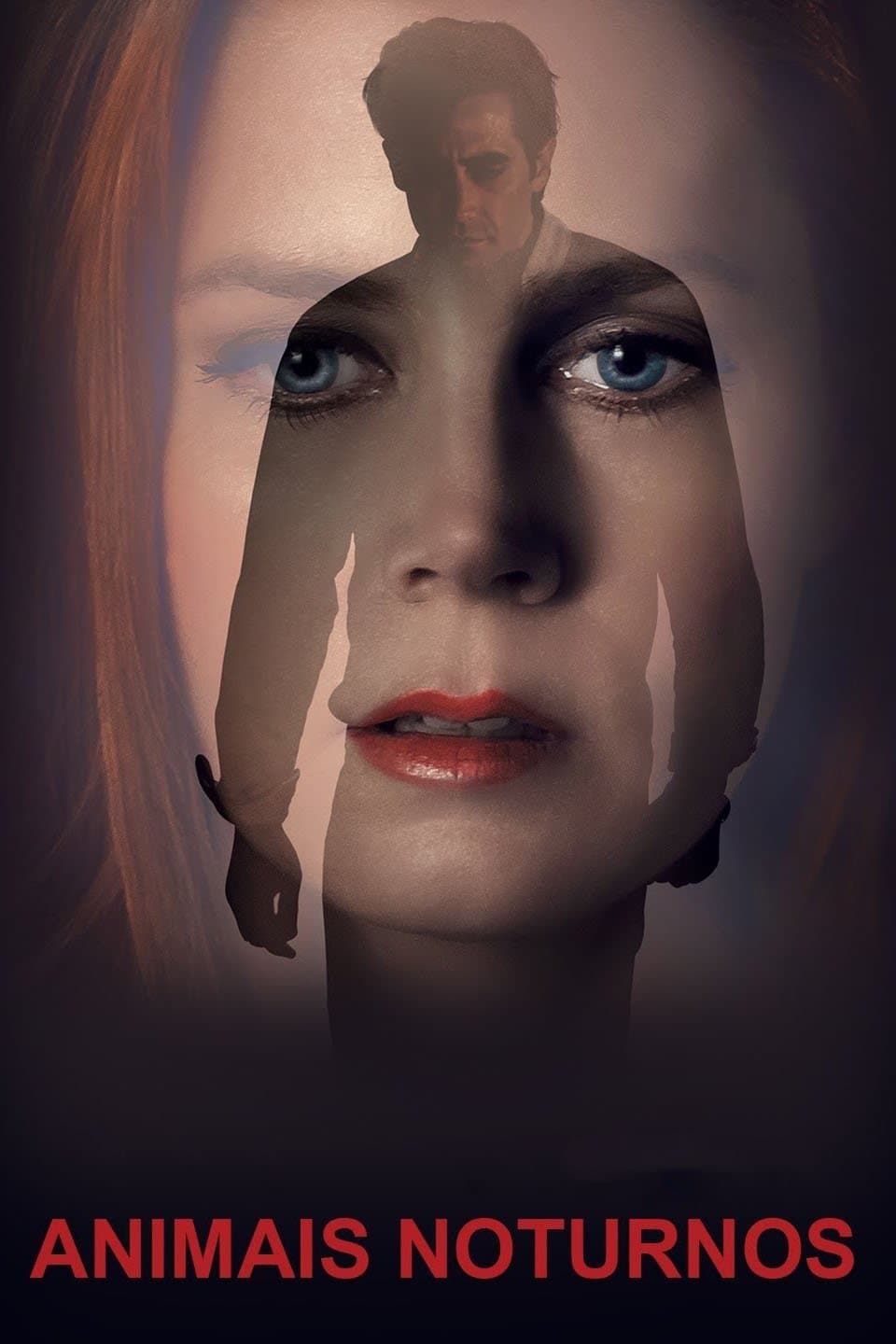 Nocturnal Animals