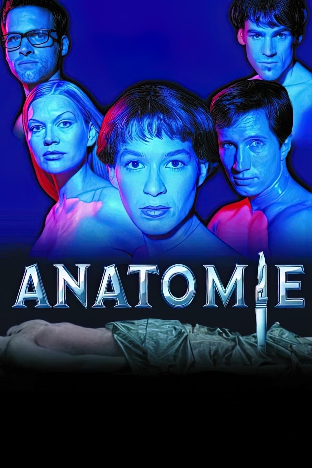 Anatomy