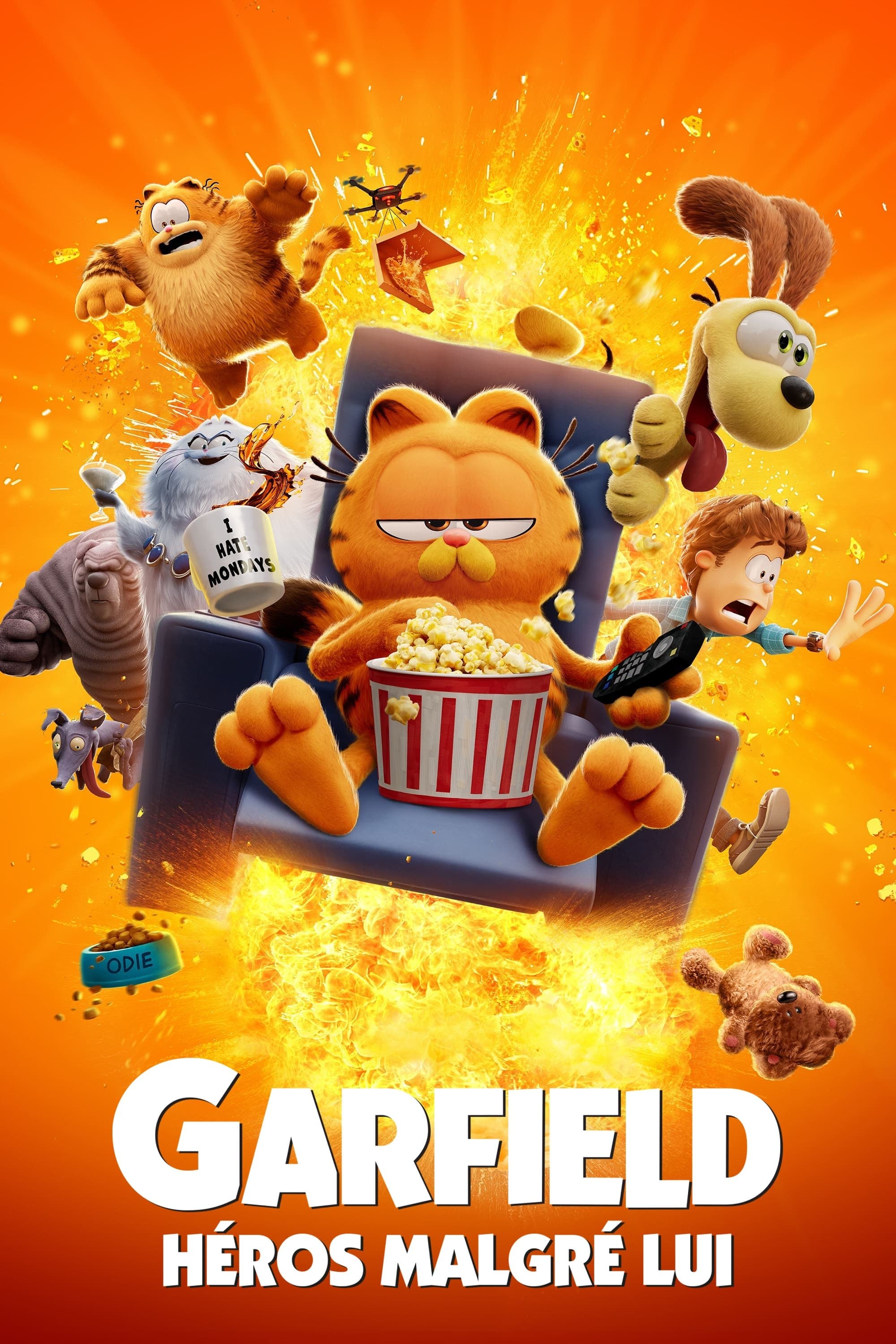 Garfield : Héros malgré lui