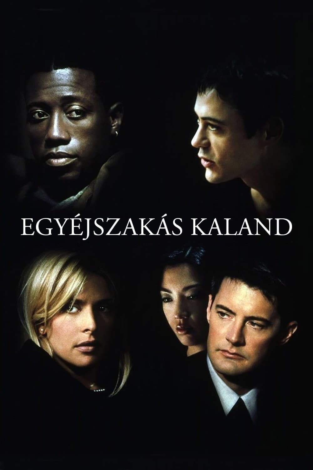 Egyéjszakás kaland